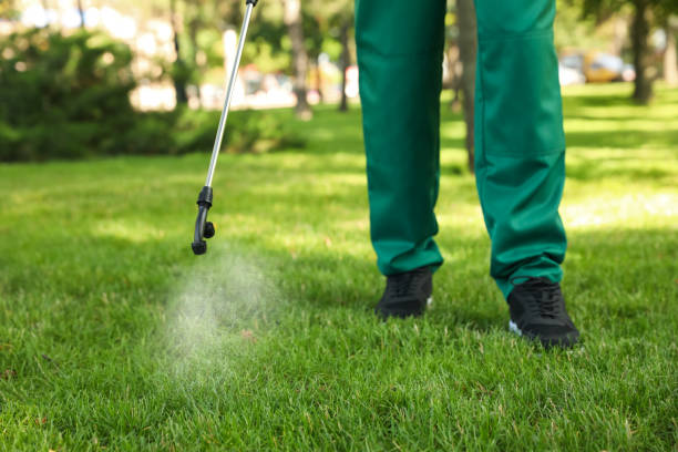 Best Ant Control Services  in Dover, AR