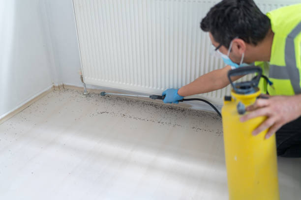 Best Best Pest Control Companies  in Dover, AR