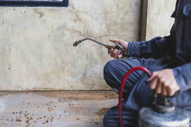 Best Affordable Exterminators  in Dover, AR