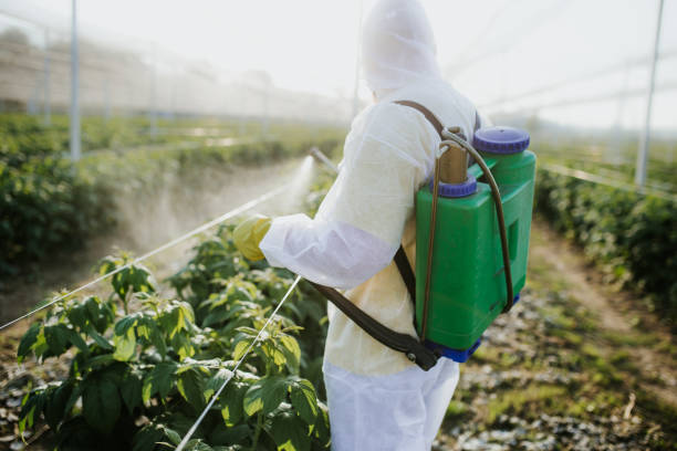 Best Mosquito Control Services  in Dover, AR
